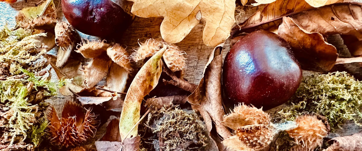 Autumn Wax Melts: The Best Scent for Every Room