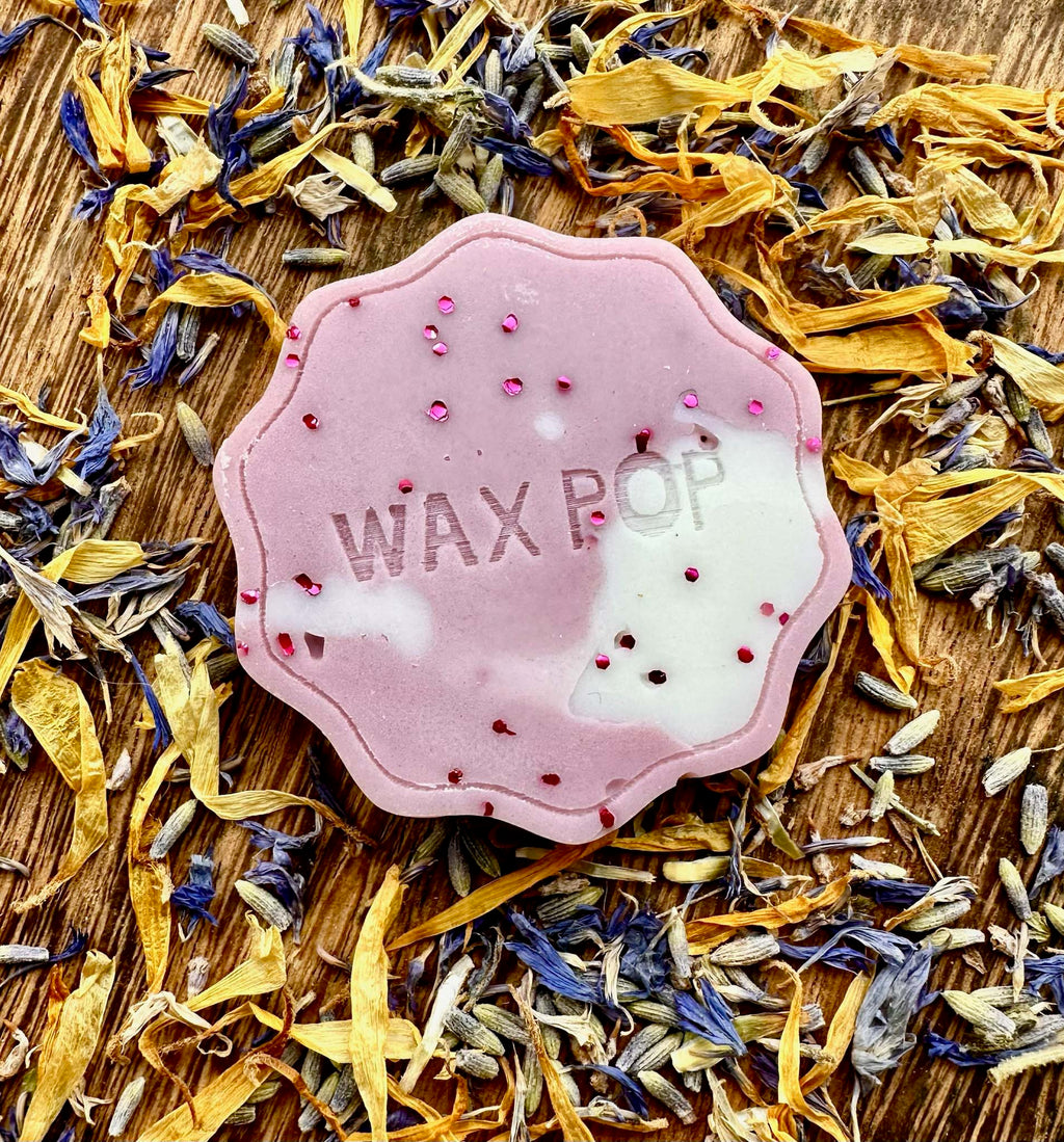 Charity Pop: Black Plum & Rhubarb Wax Pop