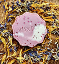 Black Plum and Rhubarb Wax Pop - Fragrance Oil Wax Melts by Wax Pop
