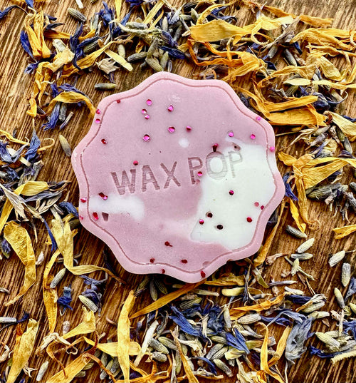 Charity Pop: Black Plum & Rhubarb Wax Pop