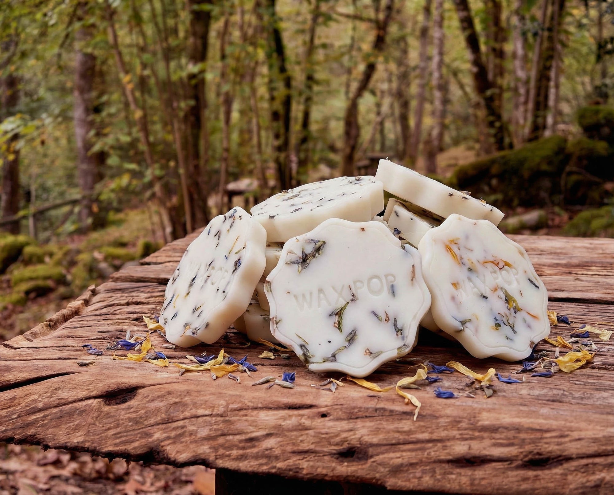 Essential Oil Wax Melts by Wax Pop