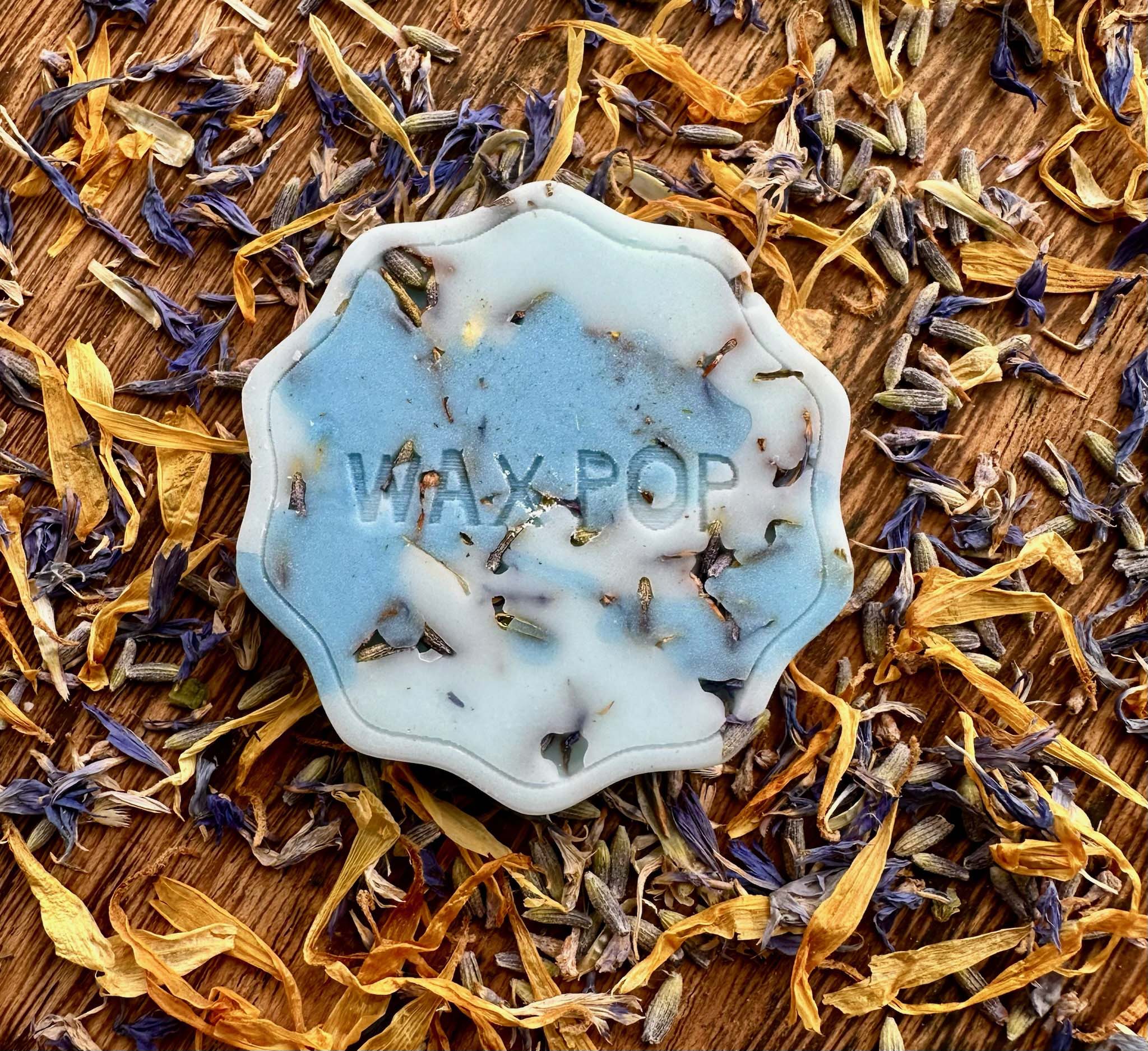 Eucalyptus and Chill Wax Pop - Fragrance Oil Wax Melts by Wax Pop