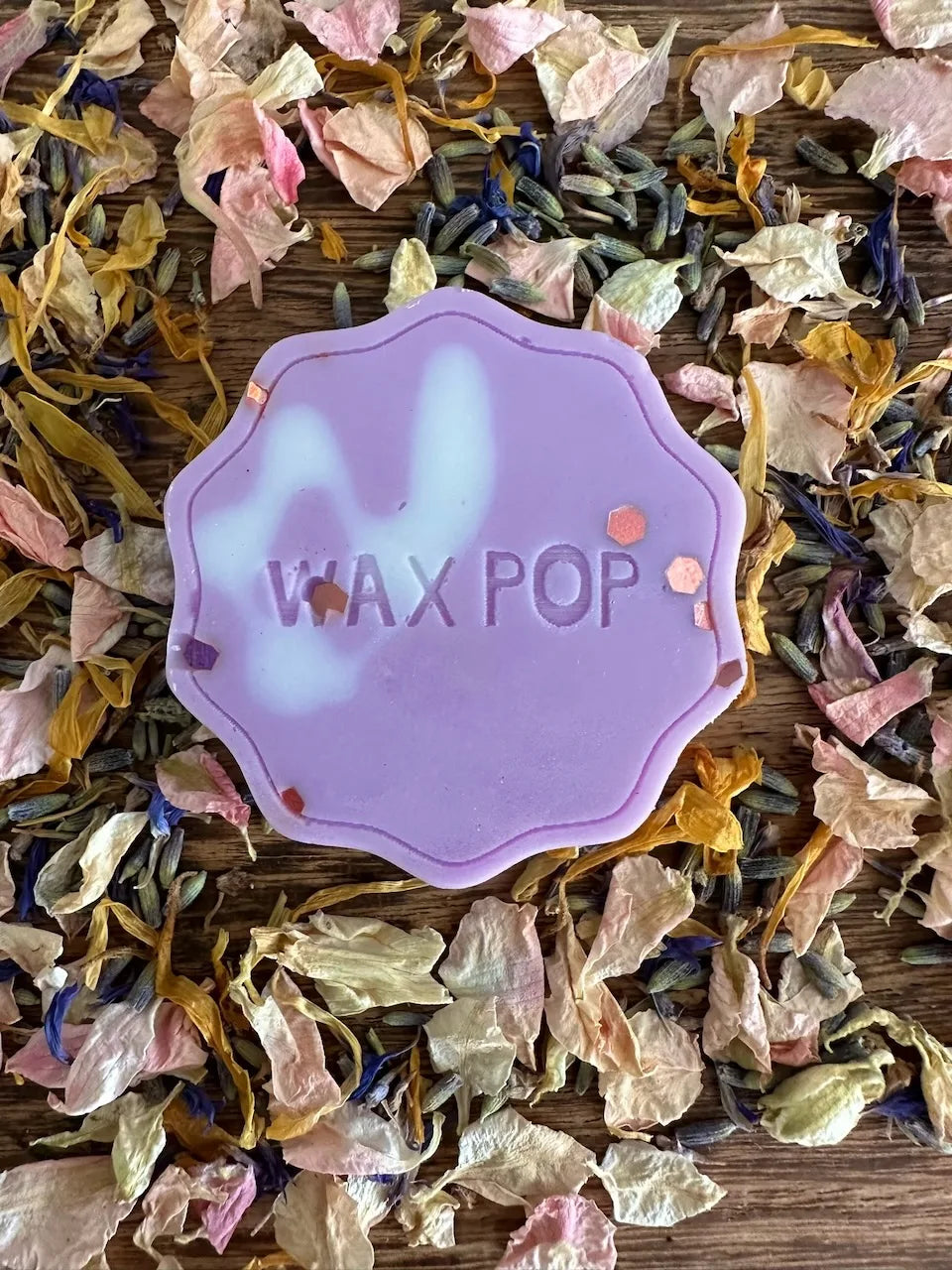 Black Plum & Rhubarb Wax Melt Pop