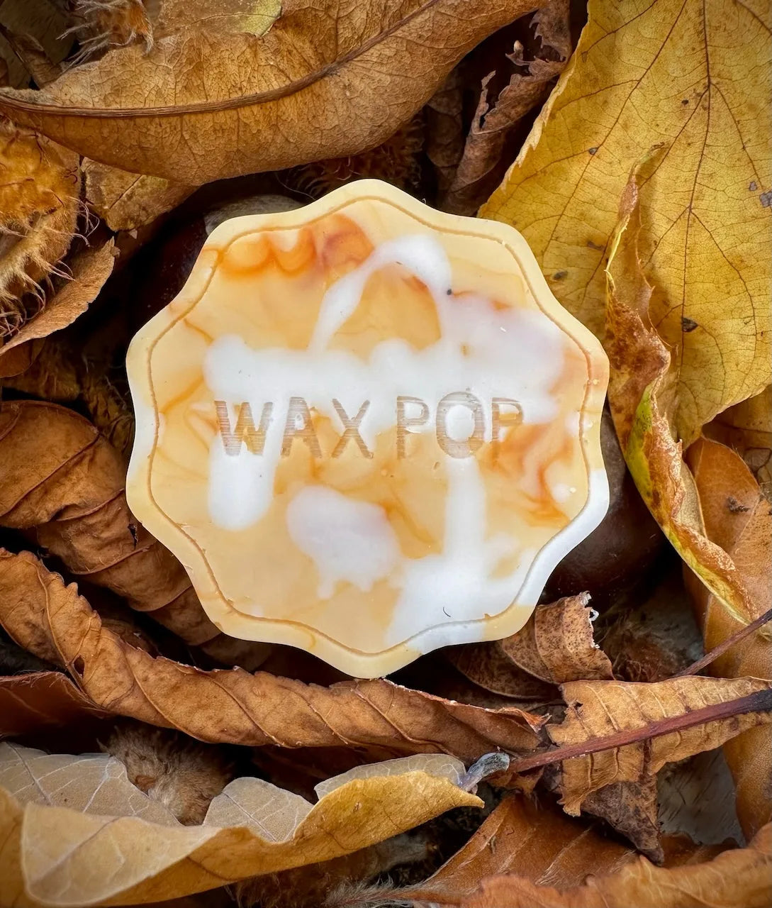 Toffee Nut Latte Wax Melt Pop