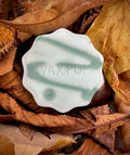 Minted Cedar Snap Wax Melt Pop