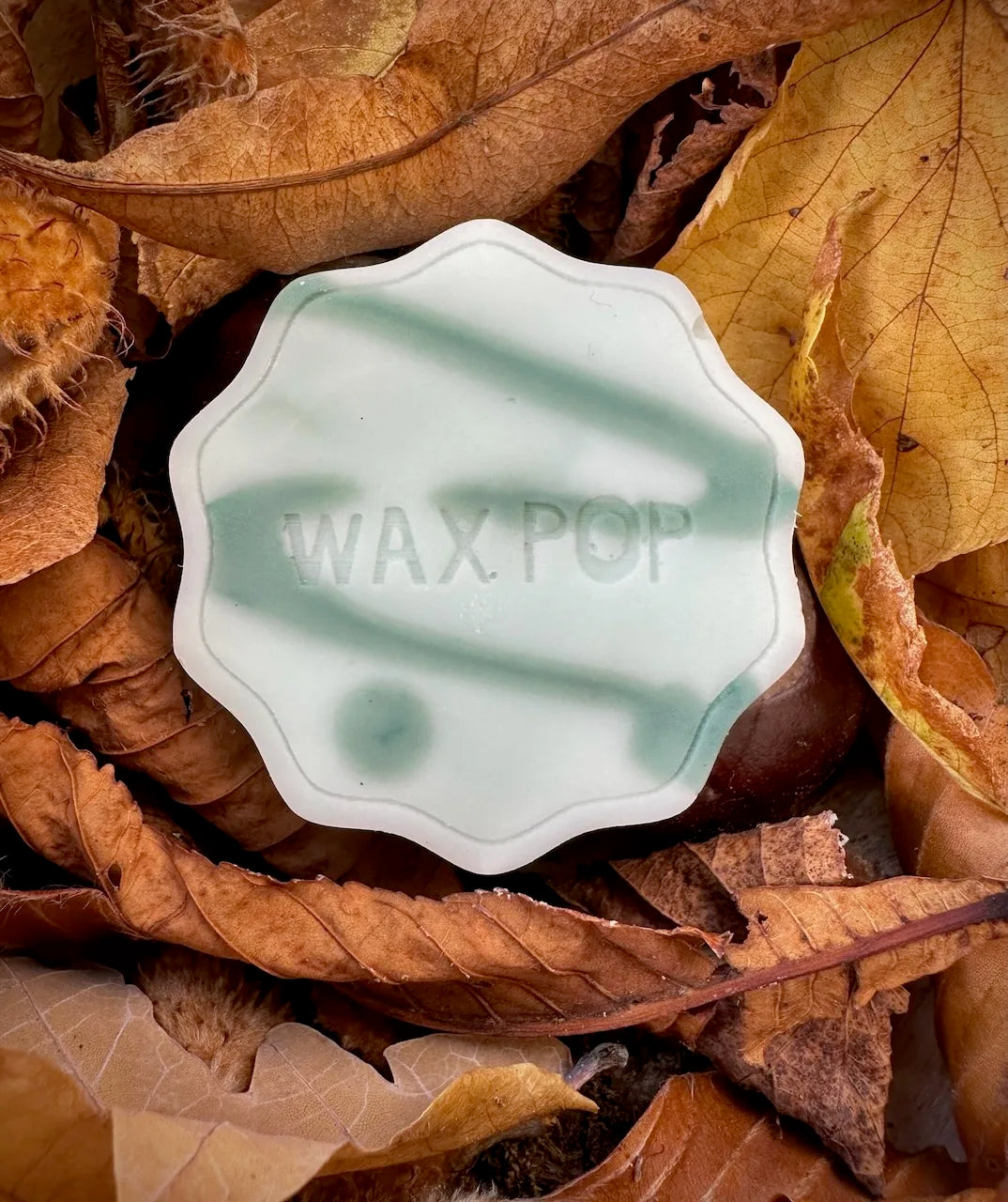Minted Cedar Snap Wax Melt Pop