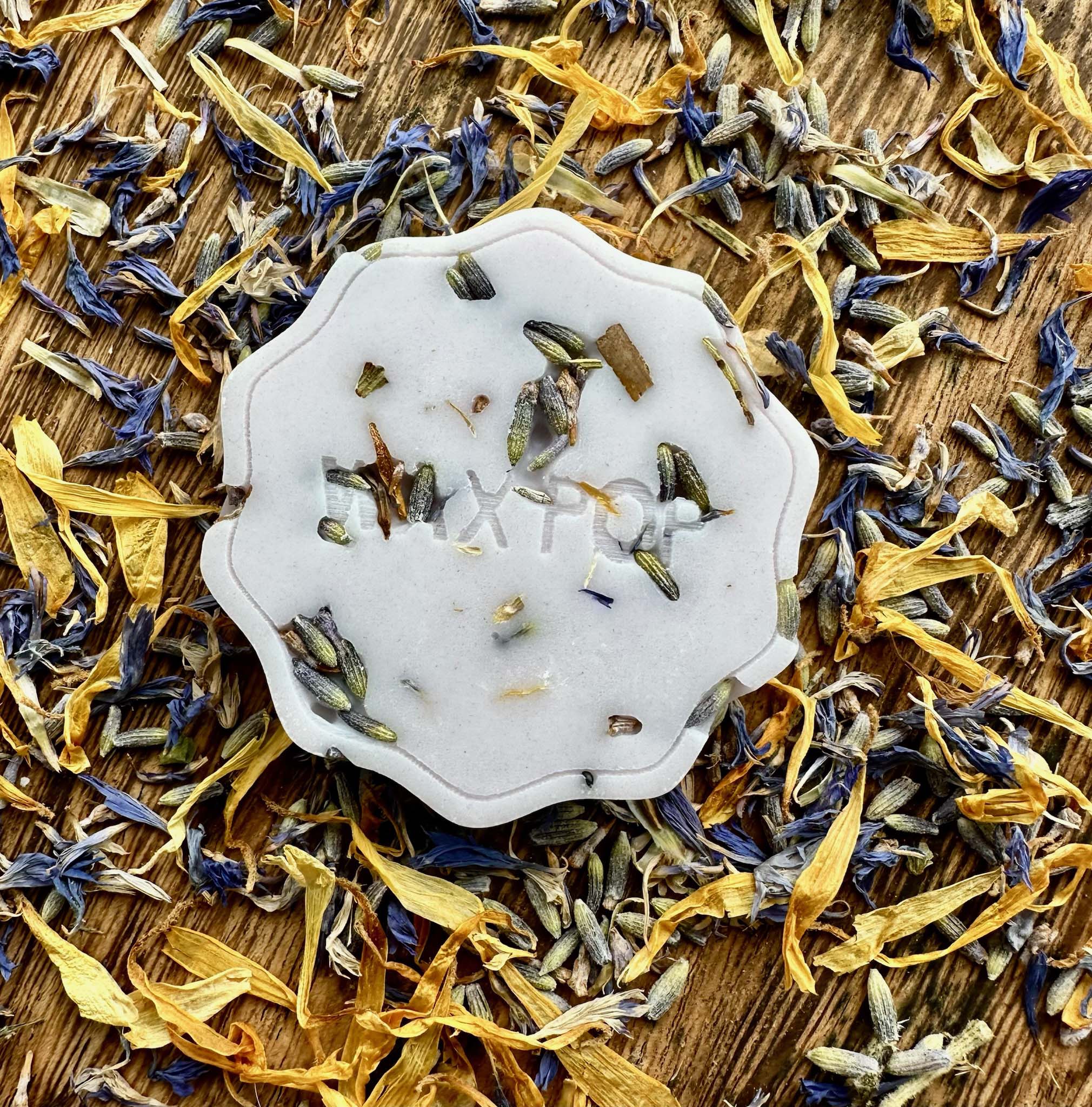 Lavender in the Woods Wax Pop - Fragrance Oil Wax Melts by Wax Pop