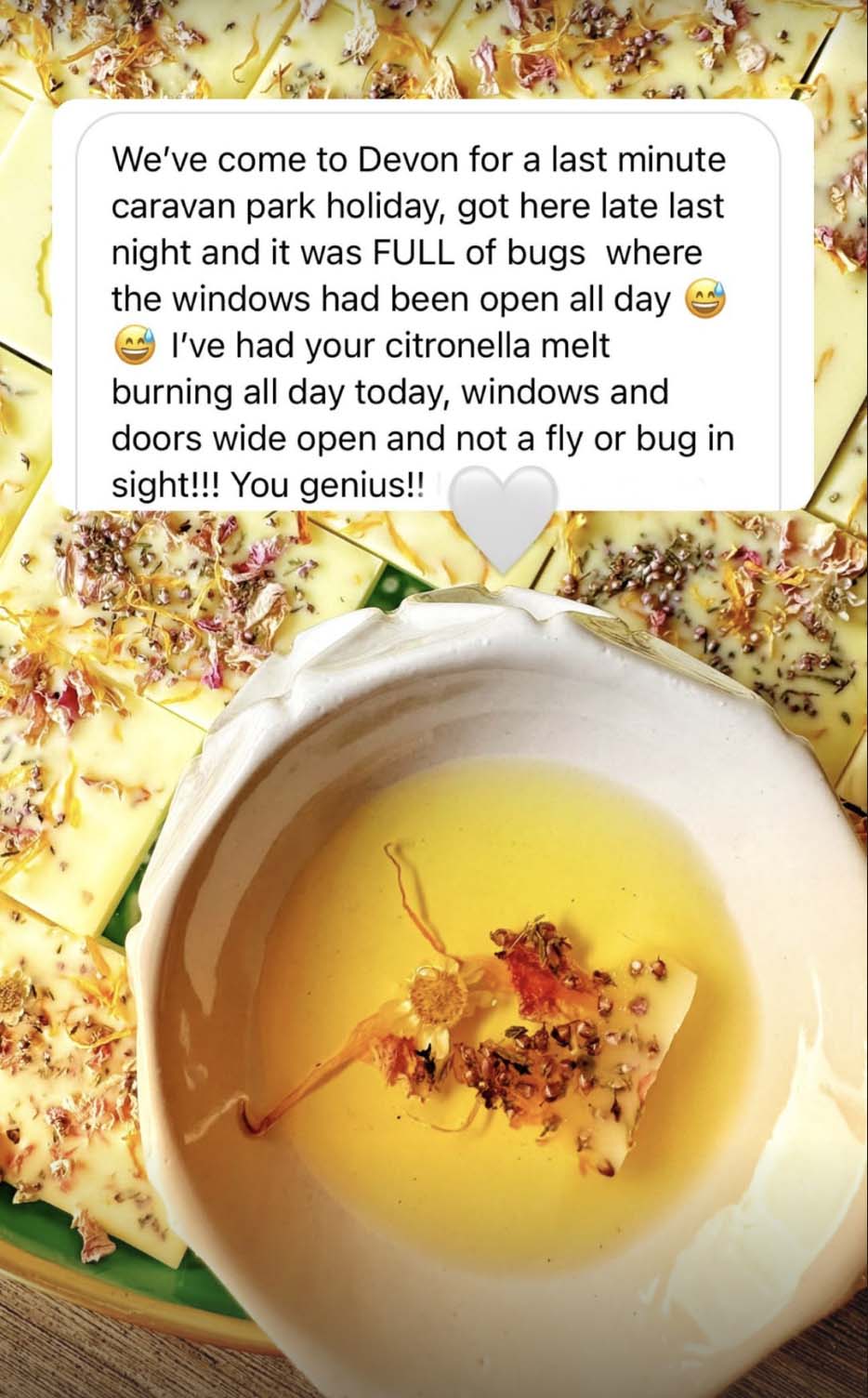 Wax Pop Citronella product, testimonial overlay about bugs and citronella candles.