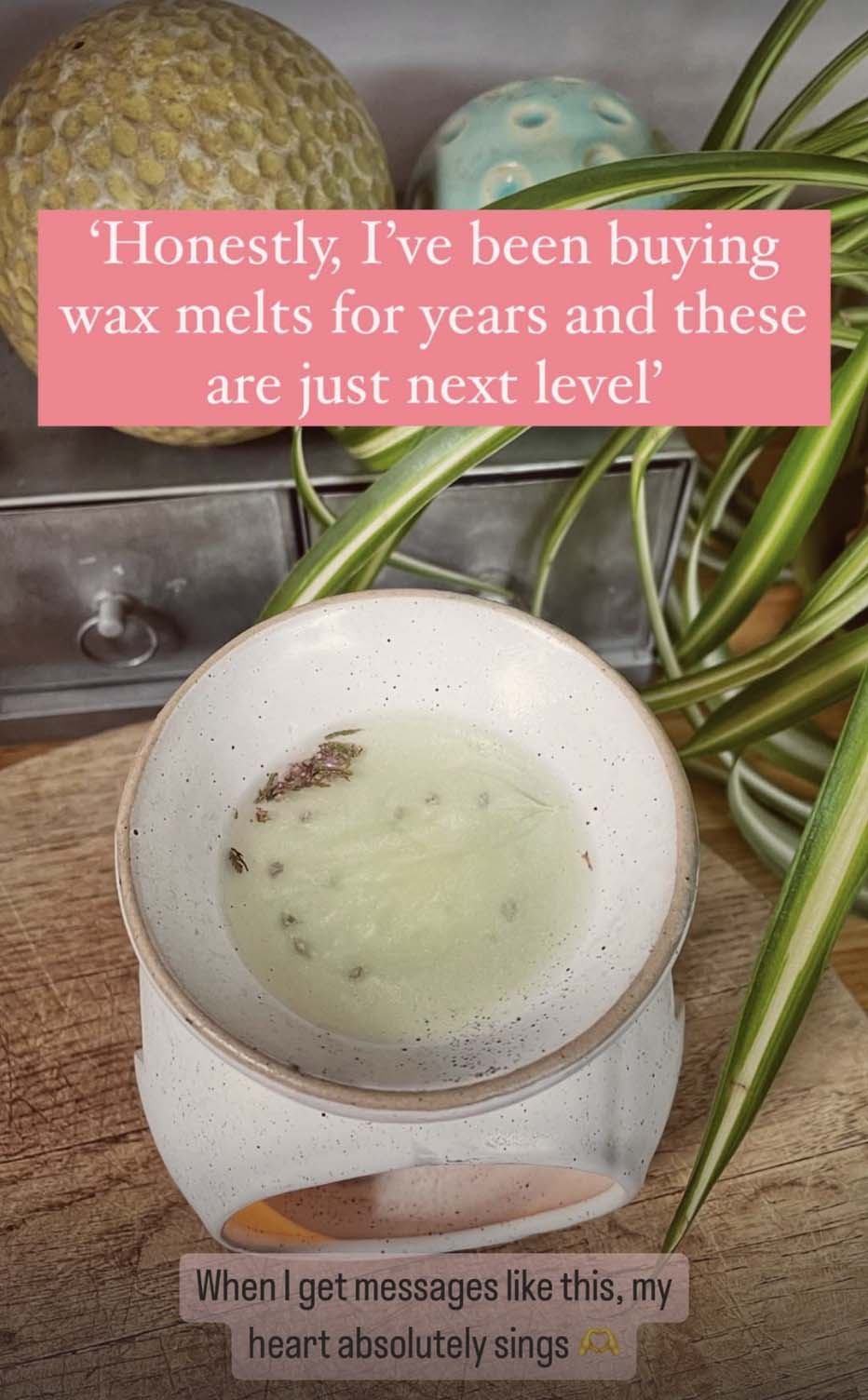 Wax melter with a lit candle on a wooden surface, surrounded by plants.